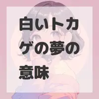 白いトカゲの夢のサムネイル画像