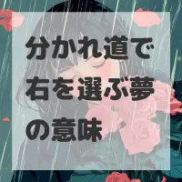 分かれ道で右を選ぶ夢のサムネイル画像