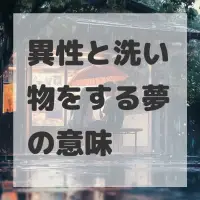 異性と洗い物をする夢のサムネイル画像