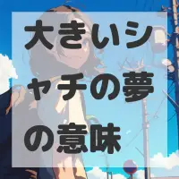 大きいシャチの夢のサムネイル画像