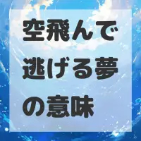 空飛んで逃げる夢のサムネイル画像