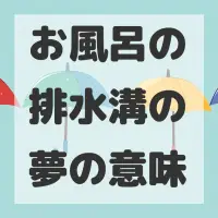 お風呂の排水溝の夢のサムネイル画像
