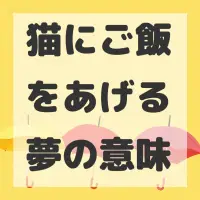 猫にご飯をあげる夢のサムネイル画像