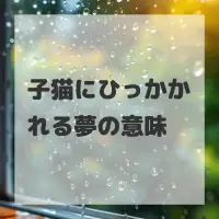 子猫にひっかかれる夢のサムネイル画像