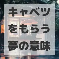 キャベツをもらう夢のサムネイル画像
