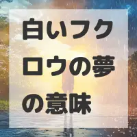 白いフクロウの夢のサムネイル画像