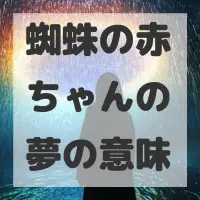 蜘蛛の赤ちゃんの夢のサムネイル画像