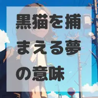 黒猫を捕まえる夢のサムネイル画像