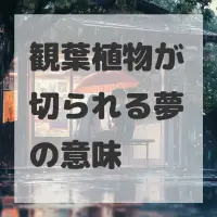 観葉植物が切られる夢のサムネイル画像