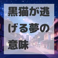 黒猫が逃げる夢のサムネイル画像