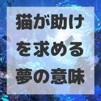 猫が助けを求める夢のサムネイル画像