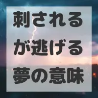 刺されるが逃げる夢のサムネイル画像