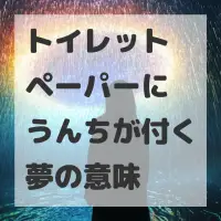 トイレットペーパーにうんちが付く夢のサムネイル画像