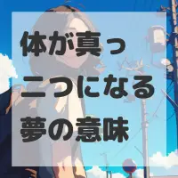 体が真っ二つになる夢のサムネイル画像