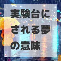 実験台にされる夢のサムネイル画像