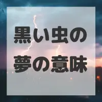 黒い虫の夢のサムネイル画像