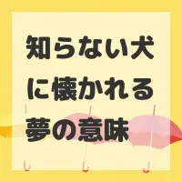 知らない犬に懐かれる夢のサムネイル画像