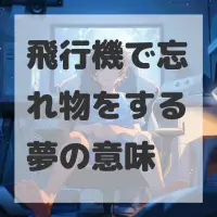 飛行機で忘れ物をする夢のサムネイル画像