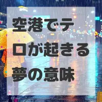 空港でテロが起きる夢のサムネイル画像