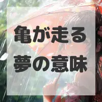 亀が走る夢のサムネイル画像