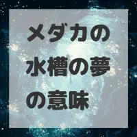 メダカの水槽の夢のサムネイル画像
