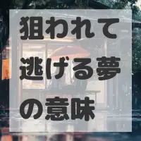 狙われて逃げる夢のサムネイル画像