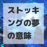 ストッキングの夢のサムネイル画像