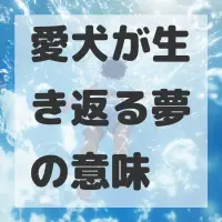 愛犬が生き返る夢のサムネイル画像