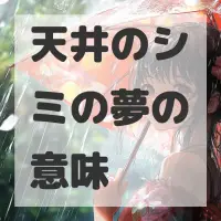 天井のシミの夢のサムネイル画像