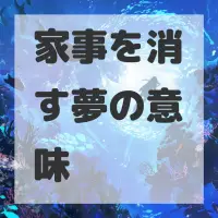家事を消す夢のサムネイル画像