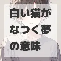 白い猫がなつく夢のサムネイル画像