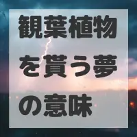 観葉植物を貰う夢のサムネイル画像