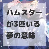 ハムスターが3匹いる夢のサムネイル画像