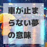 車が止まらない夢のサムネイル画像