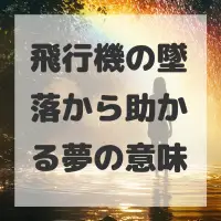 飛行機の墜落から助かる夢のサムネイル画像