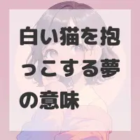 白い猫を抱っこする夢のサムネイル画像