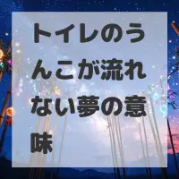 トイレのうんこが流れない夢のサムネイル画像