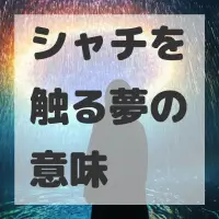 シャチを触る夢のサムネイル画像