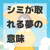 シミが取れる夢のサムネイル画像