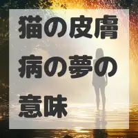 猫の皮膚病の夢のサムネイル画像