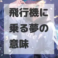 飛行機に乗る夢のサムネイル画像