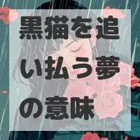 黒猫を追い払う夢のサムネイル画像