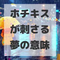 ホチキスが刺さる夢のサムネイル画像