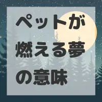 ペットが燃える夢のサムネイル画像
